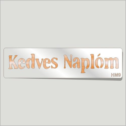 Kedves Naplóm Festősablon Felirat